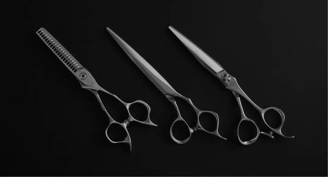 シザーズの基礎知識