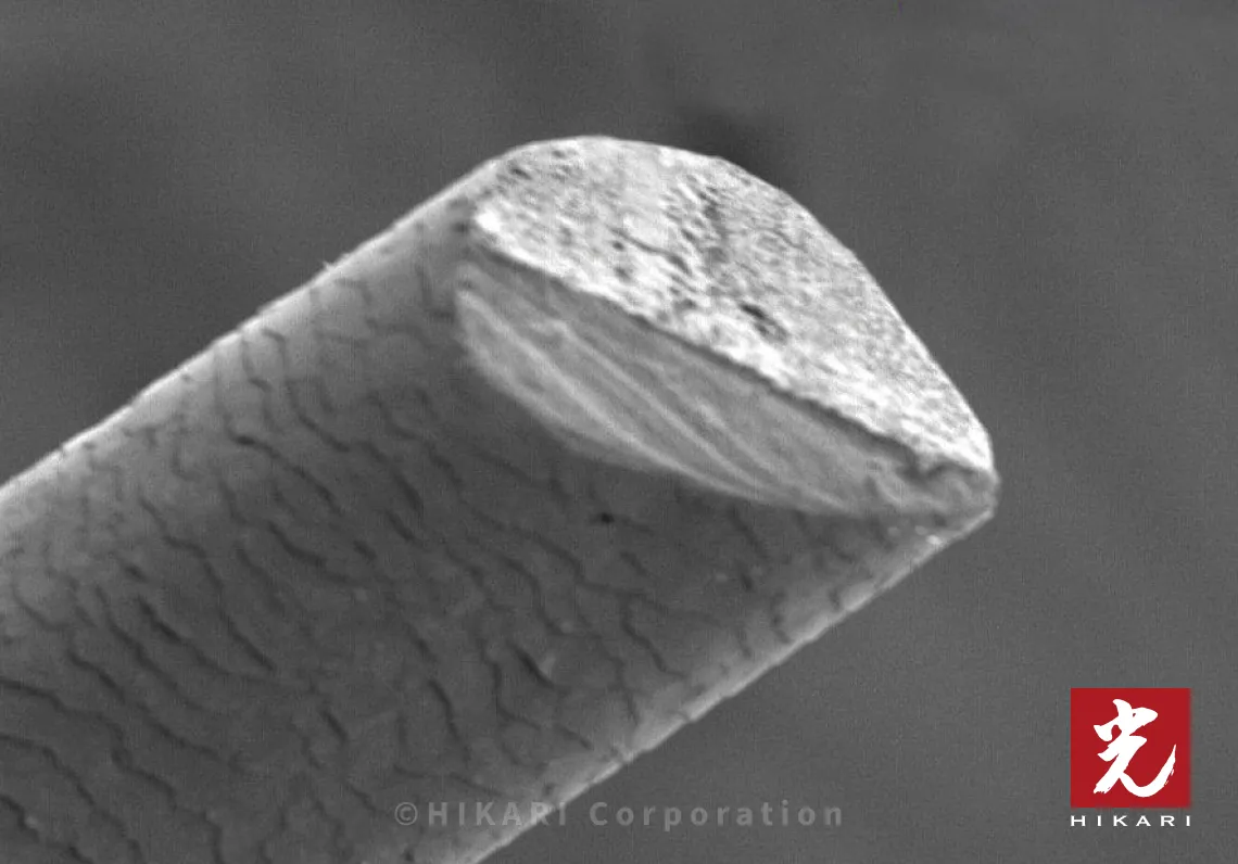 ヒカリシザーズによる切断面